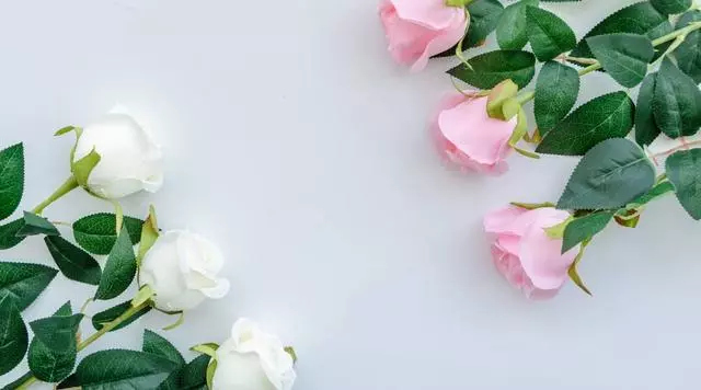 婚禮時生母給我十萬,繼母給我一個小箱子,我讓老公給繼母叫媽