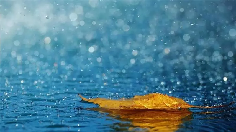 下雨天了,我好想你.....