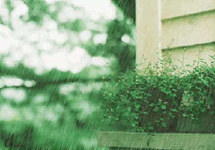 下雨天了,我好想你.....