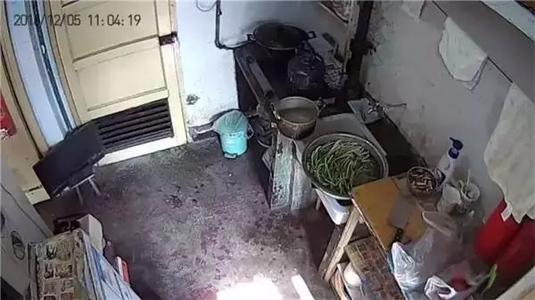 大齡剩女爆改8坪大小的套房,看到成品後的父母再也不逼嫁了!