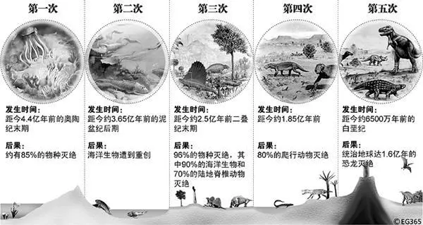 恐龍統治地球超過1.6億年,那麼人類呢?