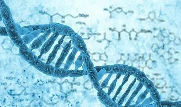 世界上最小的狗,被克隆49次,科學家:能分清算我輸