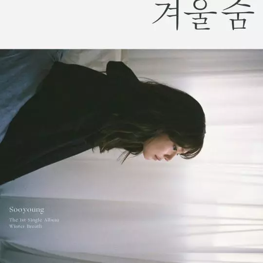 T-ara智妍發售單曲,碰巧撞上少女時代秀英,歌迷表示:我全買!