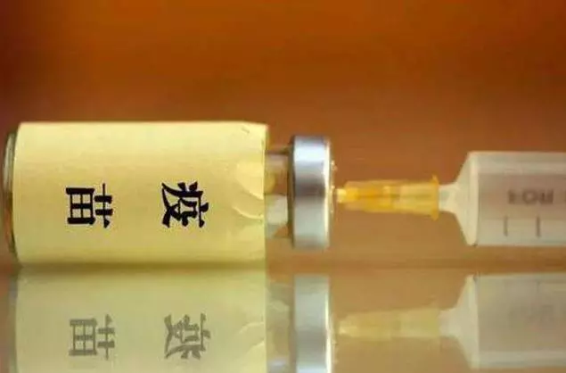 泰迪能活多久10-15歲?7招延長狗狗壽命