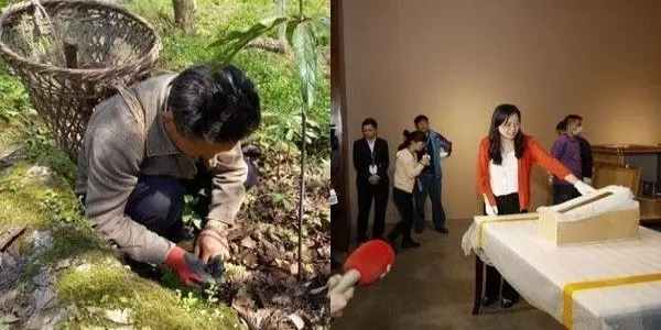 農民上山採藥撿到一枚金屬片,國家無償收走!現在成國寶,禁止對外展出!