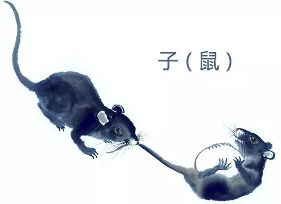 過了冬至好運連連的7生肖