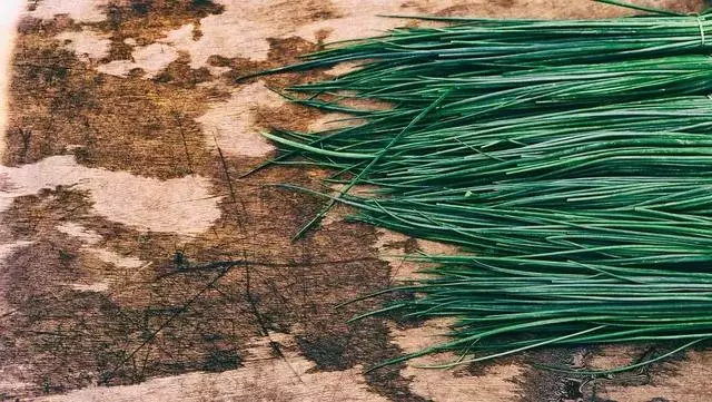 身體最危險的脂肪——內臟脂肪,減脂千萬不要忽略