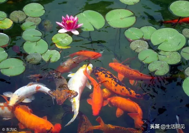 命苦的時候,這樣走著走著,就時來運轉了