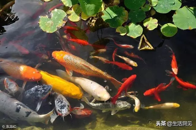 命苦的時候,這樣走著走著,就時來運轉了