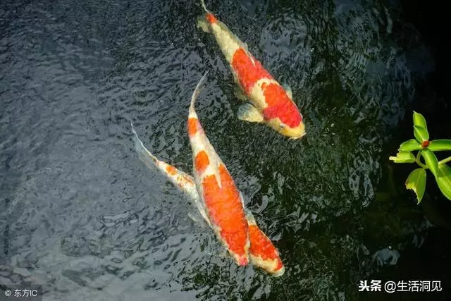命苦的時候,這樣走著走著,就時來運轉了