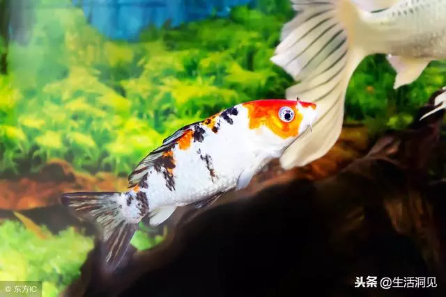 命苦的時候,這樣走著走著,就時來運轉了