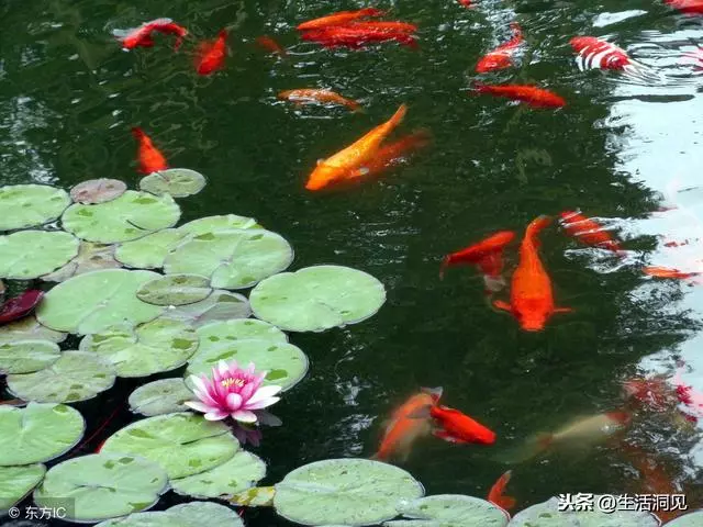 命苦的時候,這樣走著走著,就時來運轉了