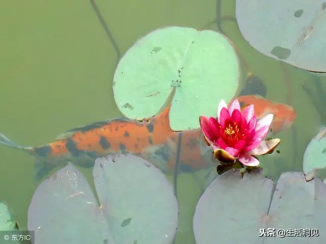 命苦的時候,這樣走著走著,就時來運轉了