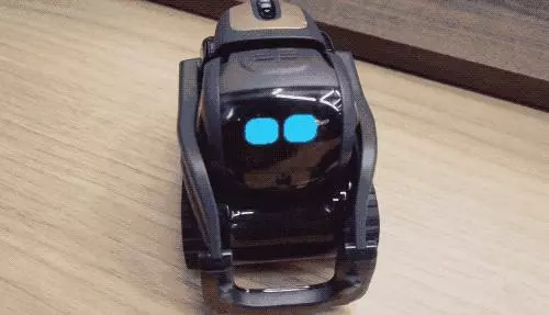 有了這個超蠢萌小機器人,我連貓都不擼了