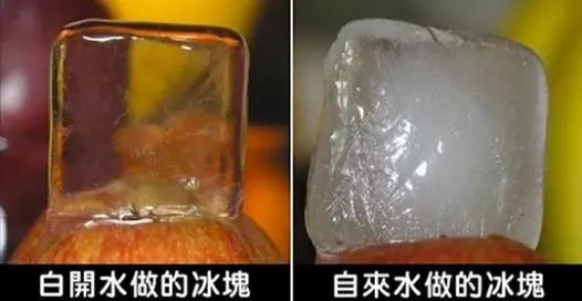 33個能夠替你「省下不少時間和麻煩」的料理訣竅，用對了方法下廚也會變得很好玩！