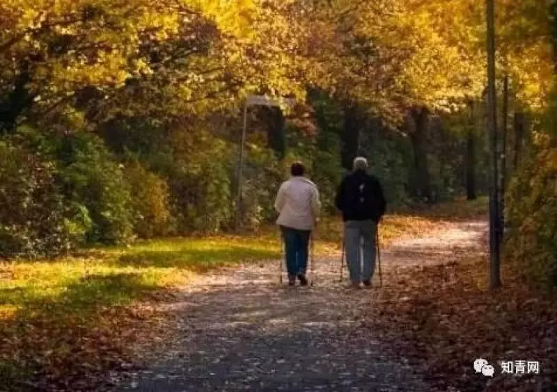 不求子女不求人,一位60歲老人的生活感悟,值得收藏細讀。