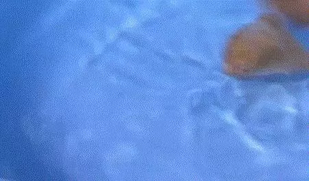 廚房髒抹布加點這個,幾分鐘不用洗也變成新的!趕緊學~