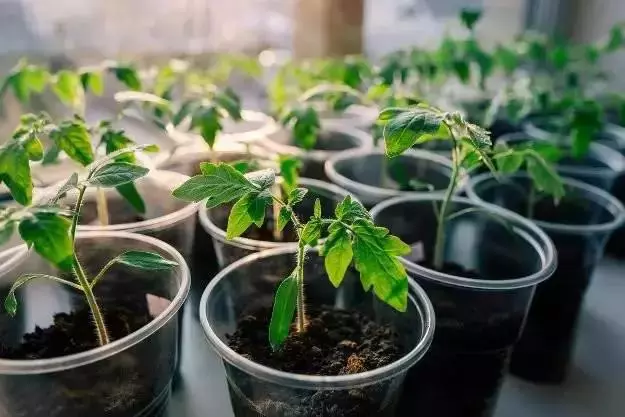 廚房髒抹布加點這個,幾分鐘不用洗也變成新的!趕緊學~