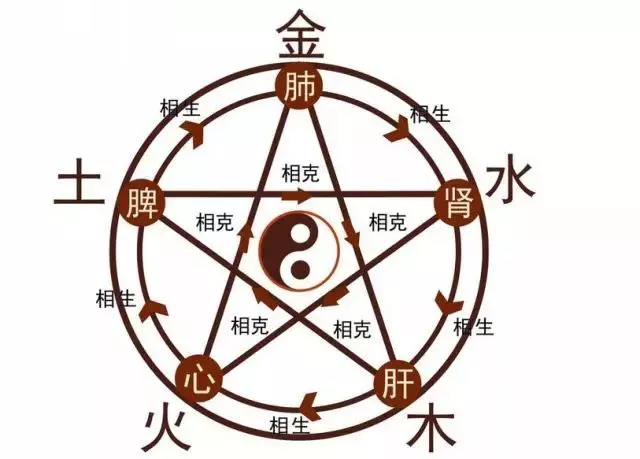 從中醫五行看五臟互補!