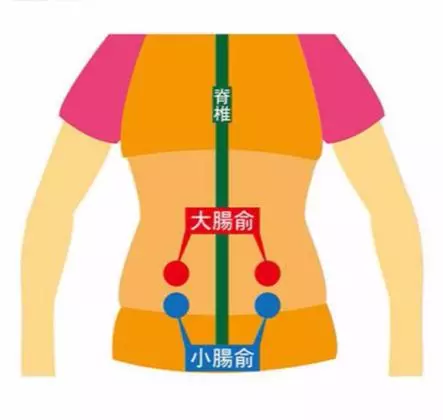 4個必知顧腸穴位!睡前按30秒,解決便秘、脹氣