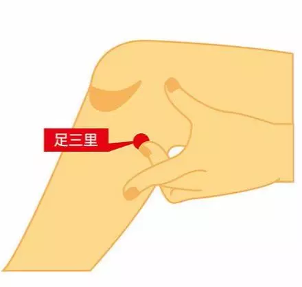 4個必知顧腸穴位!睡前按30秒,解決便秘、脹氣