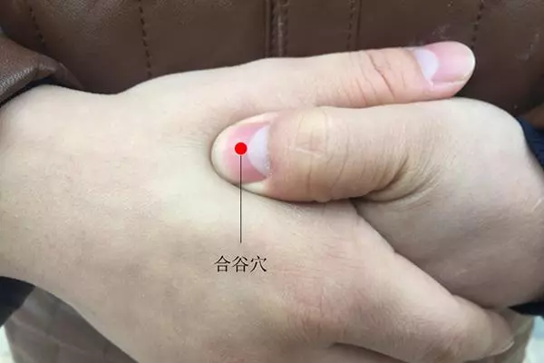 人體自帶「化瘀」開關!經常按一按這裡,氣血通暢更健康