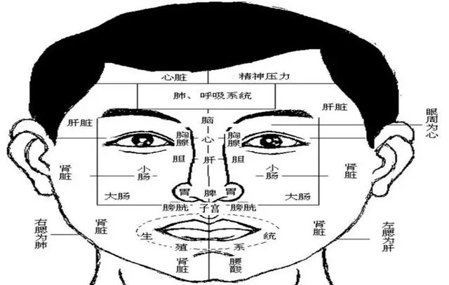 中醫面診總結大全!學點知識,一生受益(建議收藏)
