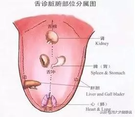 中醫舌診精煉總結!從舌頭看身體,一清二楚(建議收藏)