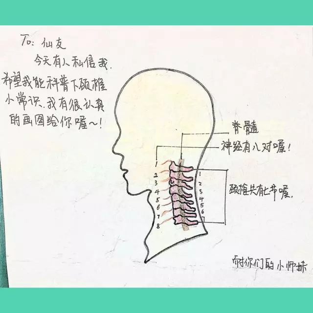 得了頸椎病,難受起來要人命頸椎病應該如何調理與恢復?