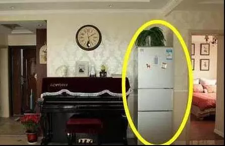 幾乎每個婦女都喜歡在冰箱上面放這些東西,殊不知是害老公越來越倒楣