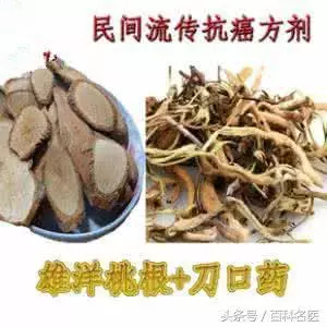 楊桃根可以抗癌症、降血糖?,有清熱解毒,消腫散疾的效用,改善消化功能、治療咳嗽