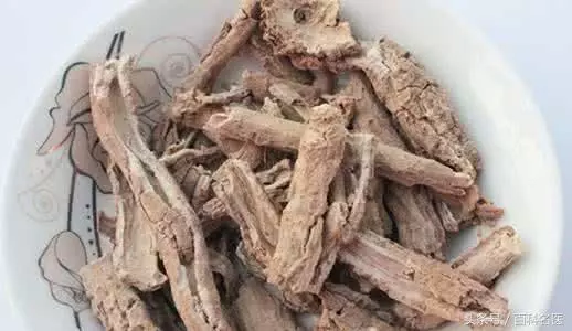 楊桃根可以抗癌症、降血糖?,有清熱解毒,消腫散疾的效用,改善消化功能、治療咳嗽