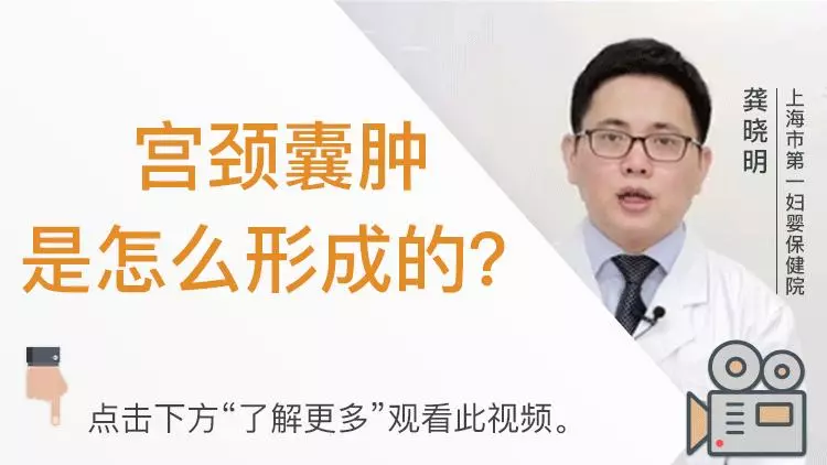 楊桃根可以抗癌症、降血糖?,有清熱解毒,消腫散疾的效用,改善消化功能、治療咳嗽