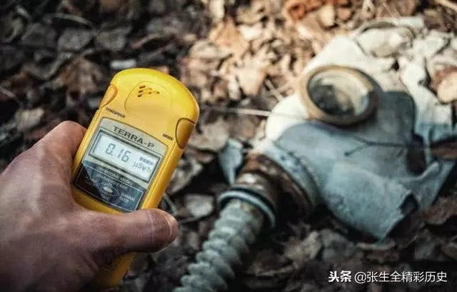 車諾比曾出現巨鼠群,並攻擊過人類,這個說法是真實的嗎