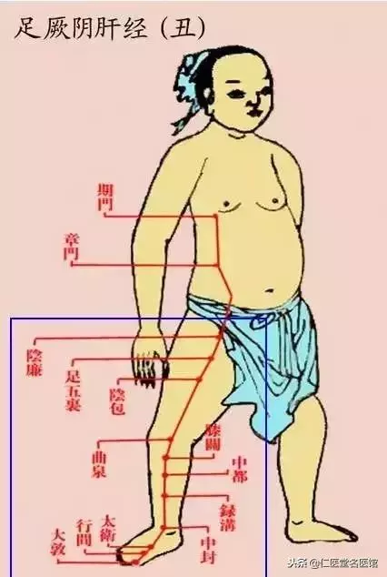每個人的小腿內側都有一個小秘密,每晚拍35下,奇蹟……介紹給身邊的朋友一起找回健康~