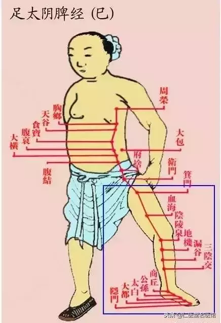 每個人的小腿內側都有一個小秘密,每晚拍35下,奇蹟……介紹給身邊的朋友一起找回健康~