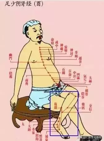 每個人的小腿內側都有一個小秘密,每晚拍35下,奇蹟……介紹給身邊的朋友一起找回健康~