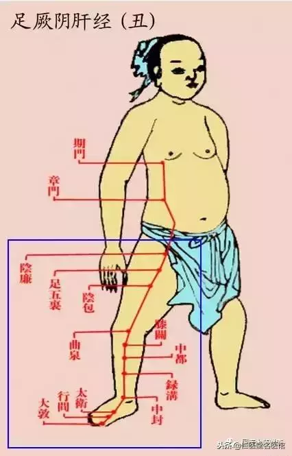 每個人的小腿內側都有一個小秘密,每晚拍35下,奇蹟……介紹給身邊的朋友一起找回健康~