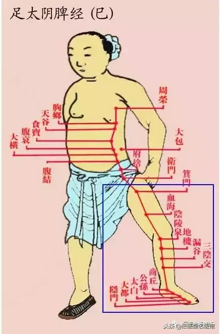 每個人的小腿內側都有一個小秘密,每晚拍35下,奇蹟……介紹給身邊的朋友一起找回健康~