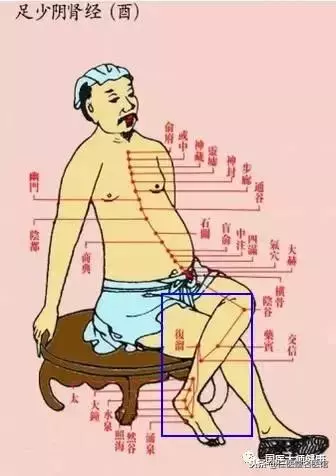 每個人的小腿內側都有一個小秘密,每晚拍35下,奇蹟……介紹給身邊的朋友一起找回健康~