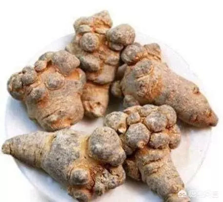 連續喝2個月三七粉的人嗎?,連續喝兩三個月三七是可以的,但是一定要注意