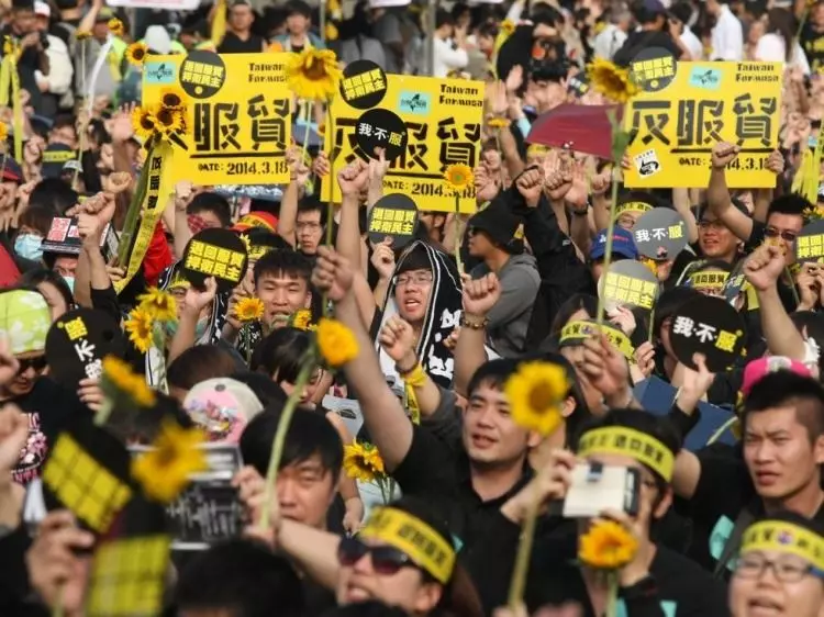 豬瘟疫情越演越烈!他上網問「若太陽花沒擋下服貿...豬瘟484已經入侵」網推爆狂喊:444