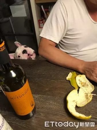 法鬥腳上全是「深紅鮮血」媽嚇壞 轉頭看...差點氣瘋