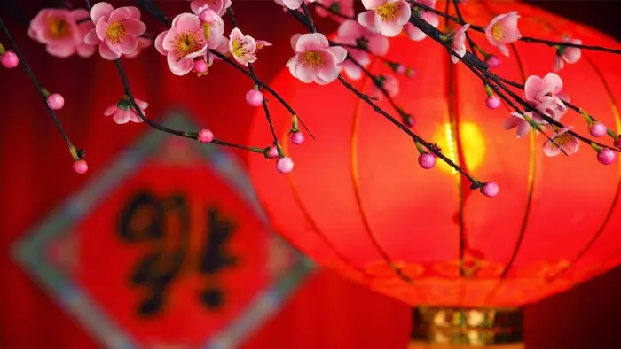 明年立春落在除夕 鮑一凡分享轉運好方法