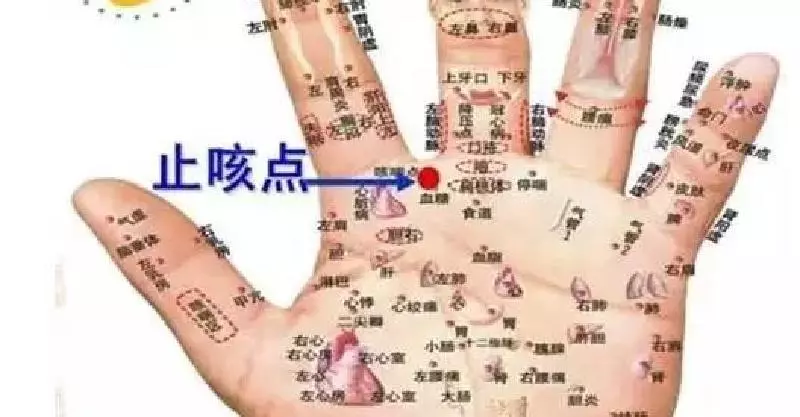 止咳點在手及腳上都有,只要按的對,5分鐘見效。