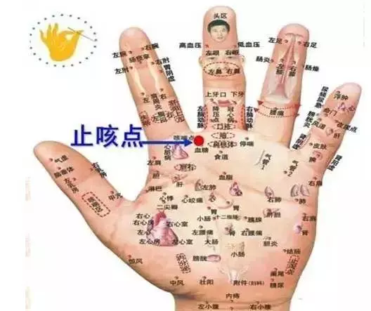 止咳點在手及腳上都有,只要按的對,5分鐘見效。