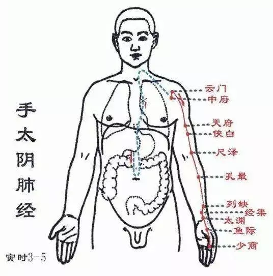 止咳點在手及腳上都有,只要按的對,5分鐘見效。