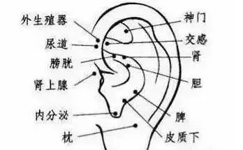 止咳點在手及腳上都有,只要按的對,5分鐘見效。