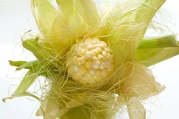 老中醫的「腎臟排毒法」,多吃「這個」對腎臟去瘀消腫超有效!