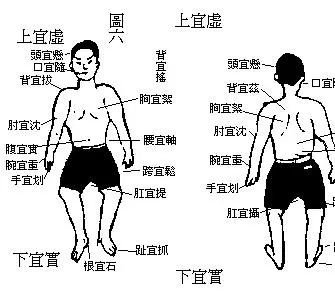 前後甩手,每天5分鐘,甩走乳腺增生、肩周炎、頸椎病、胸悶痛!易學效高